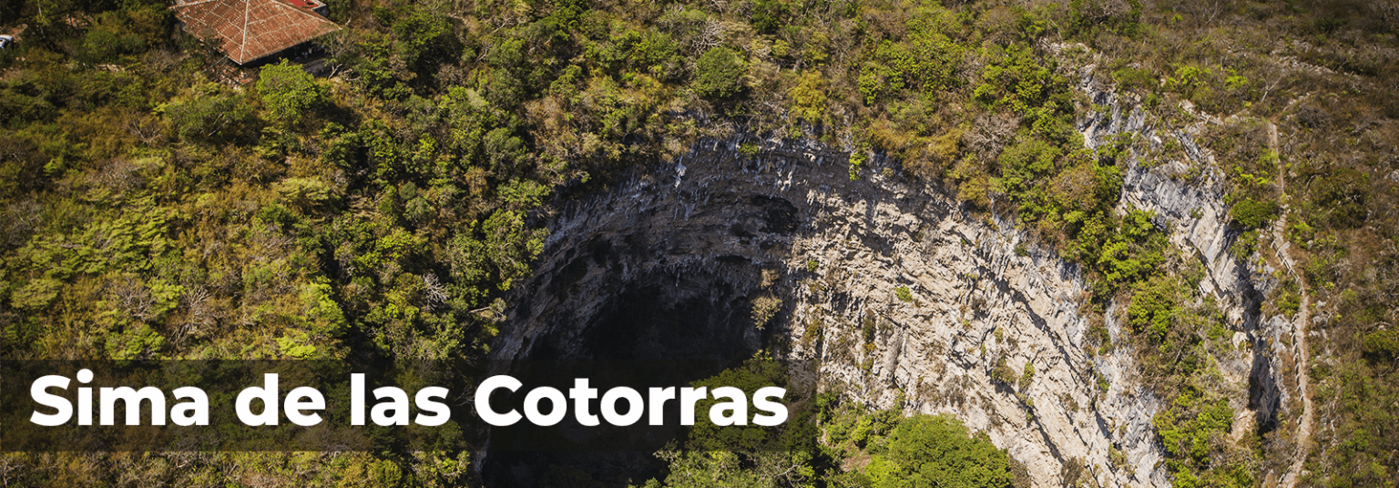sima de las cotorras